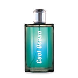 Cool Ocean Cologne Spray - Cool Water by Davidoff Alternative